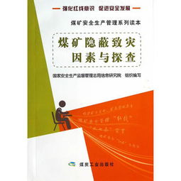 煤矿隐蔽致灾因素与探查 煤矿安全生产管理系列读本
